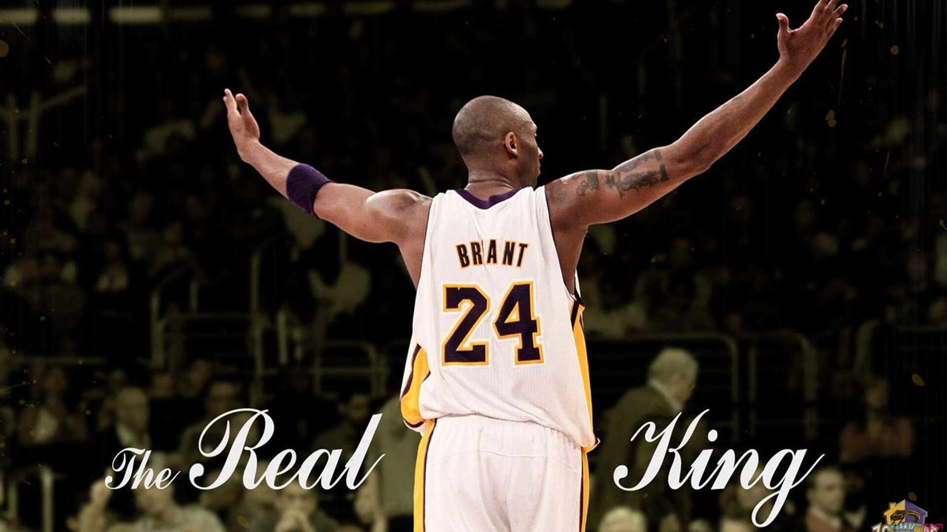 开云官方-西亚卡姆封盖致命篮板吸取防守经验，西亚卡姆打球风格