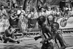 kaiyun官方入口登录-水球小组赛奥地利连战连捷，水球奥运会赛程表